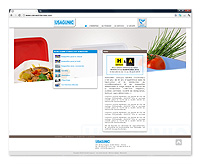 Création du site Internet de l'entreprise USAGUNIC à Gaillac : www.usagunic.fr